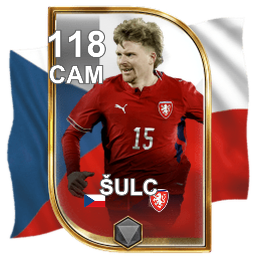 Pavel Šulc 118 CAM