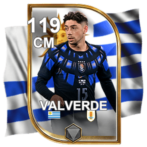 Federico Valverde 119 CM