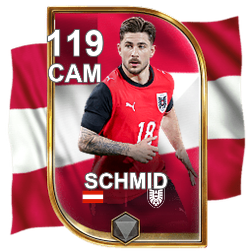 Romano Schmid 119 CAM