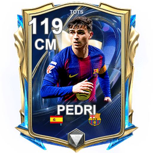 Pedri 119 CM