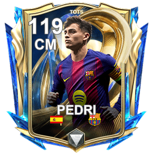 Pedri 119 CM