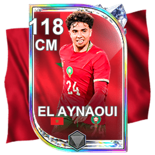 Neil El Aynaoui 118 CM