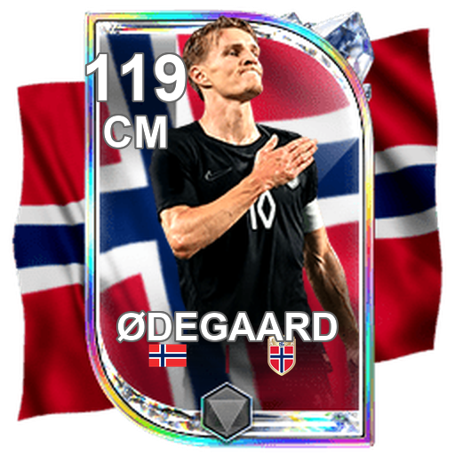 Martin Ødegaard 119 CM