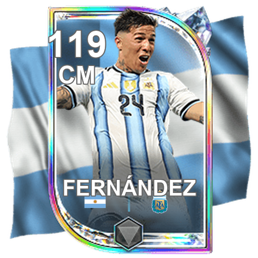 Enzo Fernández 119 CM