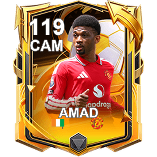 Amad 119 CAM