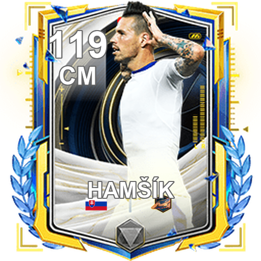 Marek Hamšík 119 CM