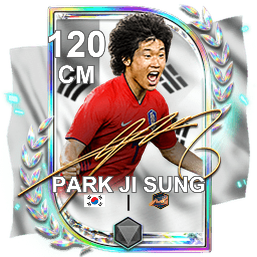 Park Ji Sung 120 CM