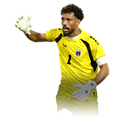 Player card image of Vozinha