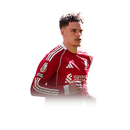 Player card image of Florian Wirtz
