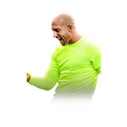 ภาพการ์ดนักเตะ Tim Howard